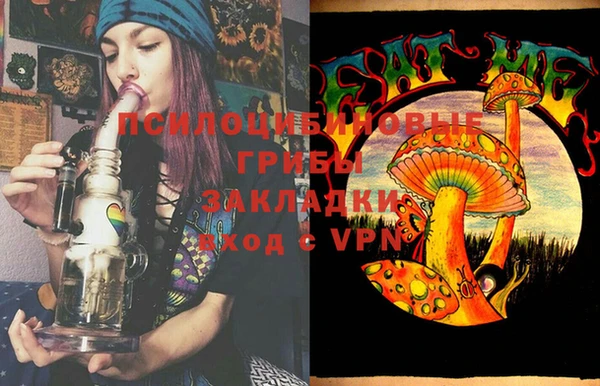 эйфоретик Белая Холуница